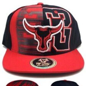 Chicago 23 Top Level 2 Tone Longhorn Snapback Hat